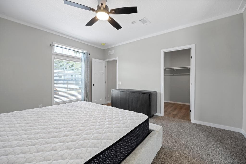 The black pearl  home features