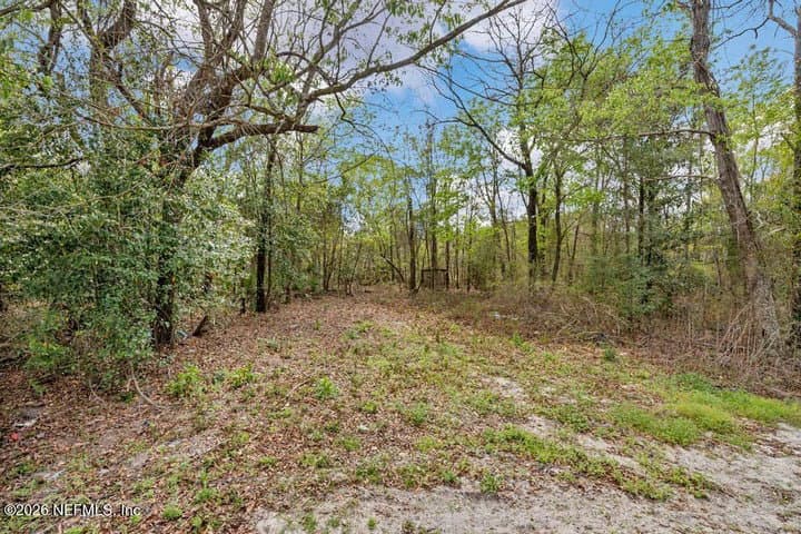 The topaz - 2004 blue knoll rd., middleburg, fl 32068 (move-in ready)  home features
