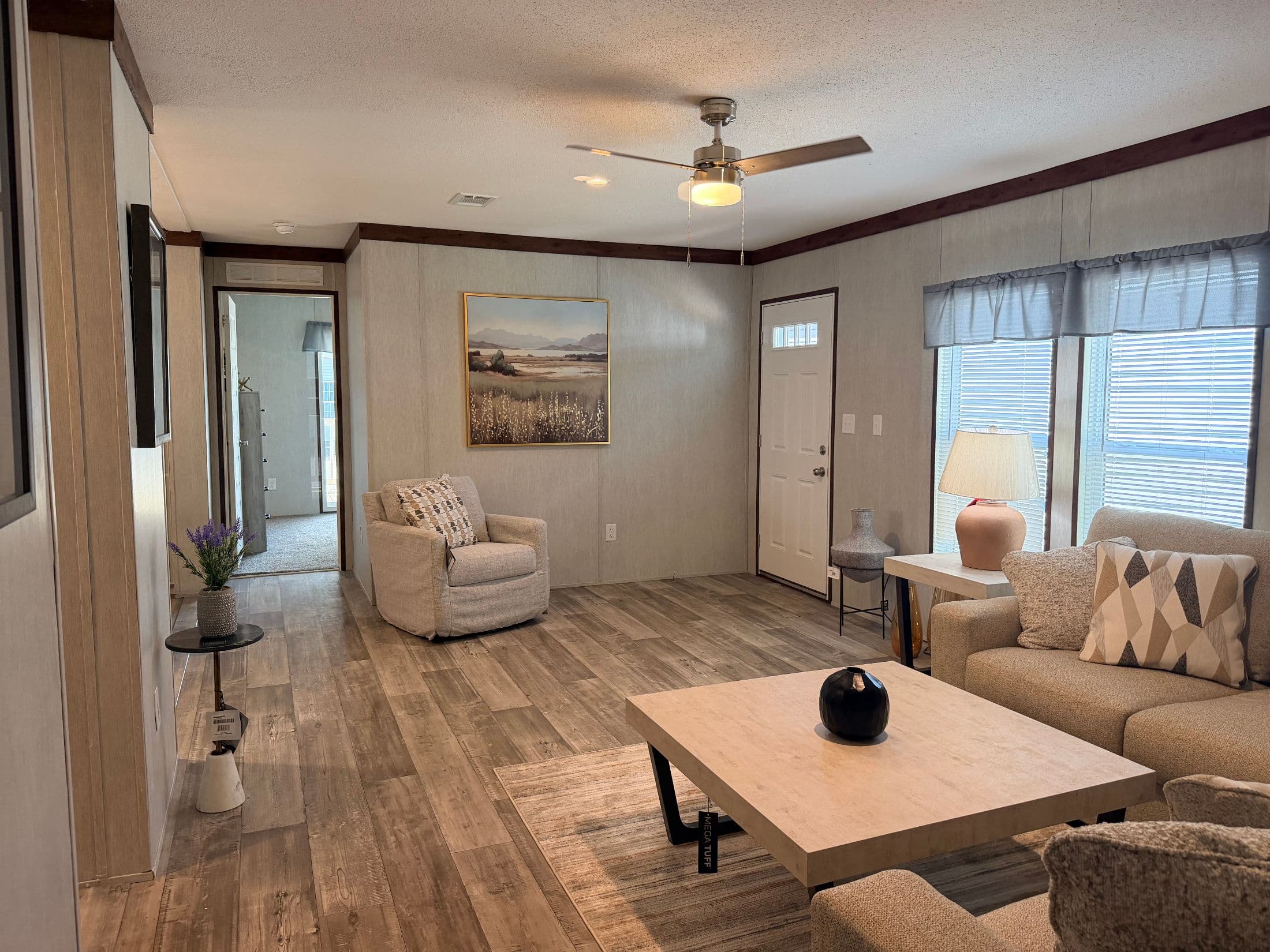 The moon stone   home features