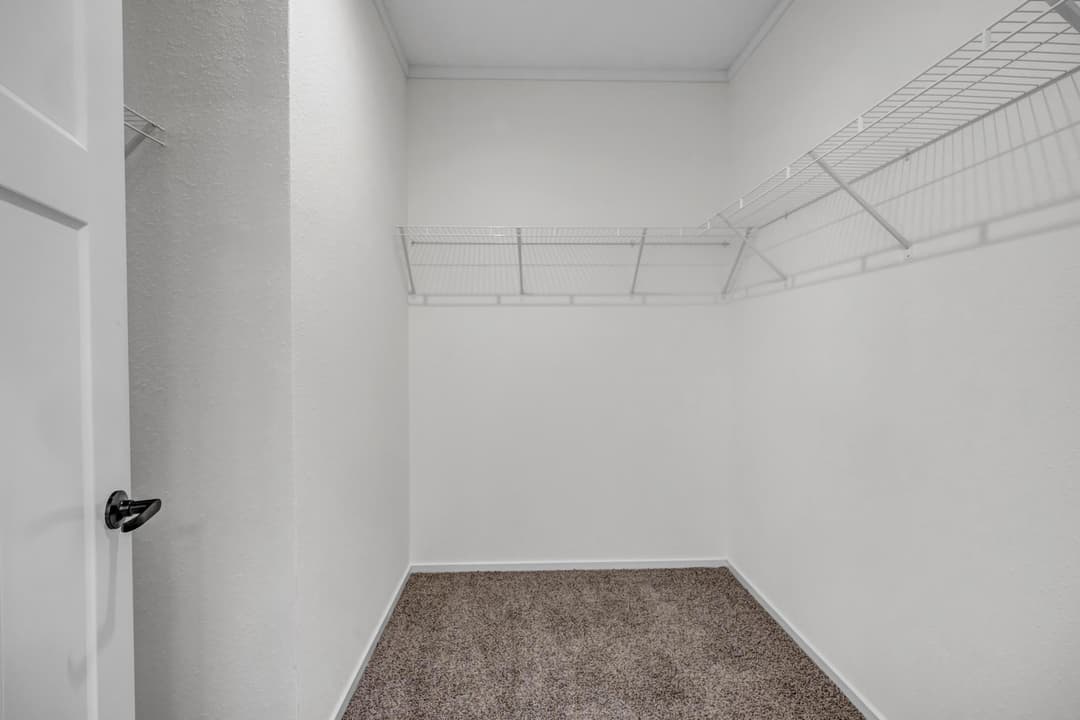 The tanzanite interior home features