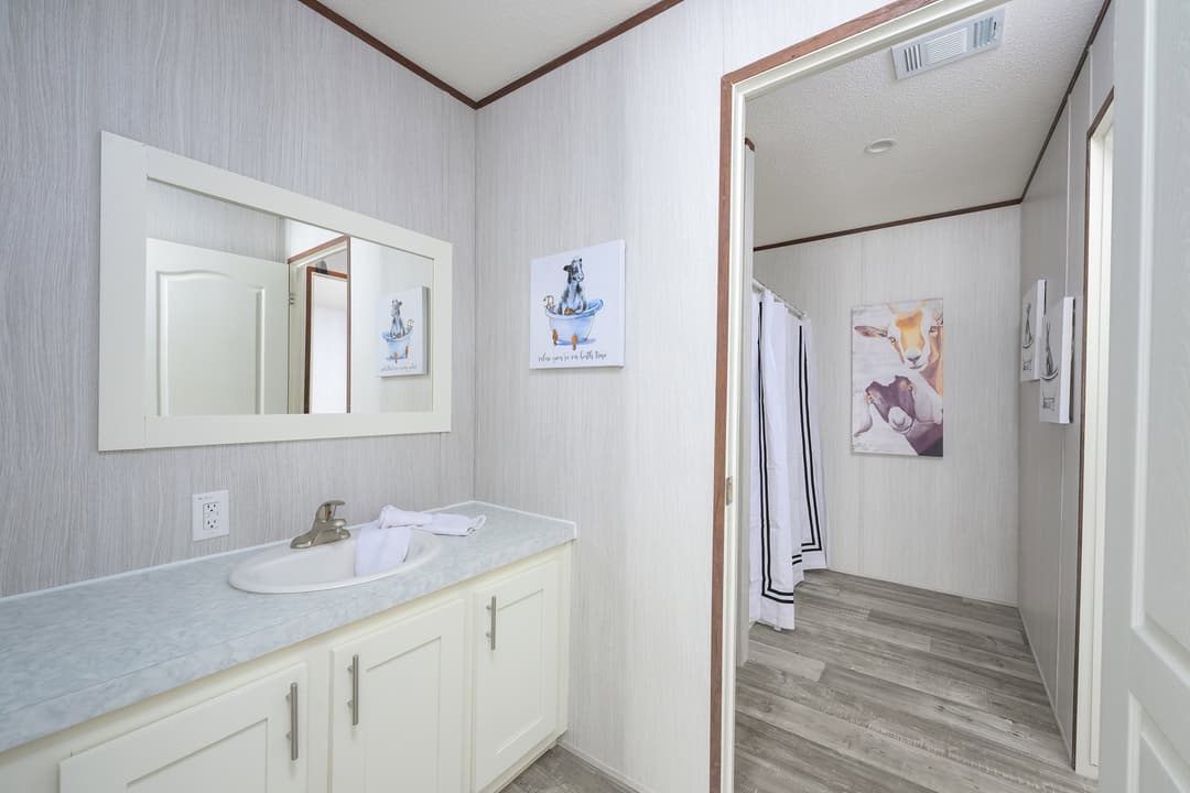 Blitz bathroom home features